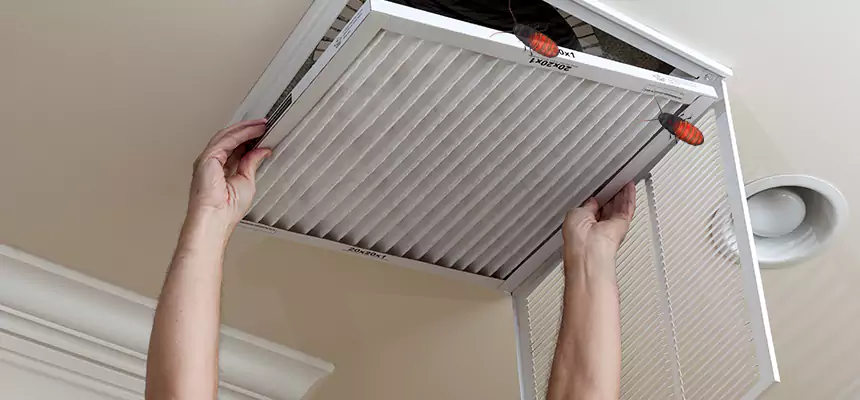 Preventive Cockroach-Proofing for Ducts in Sioux Falls