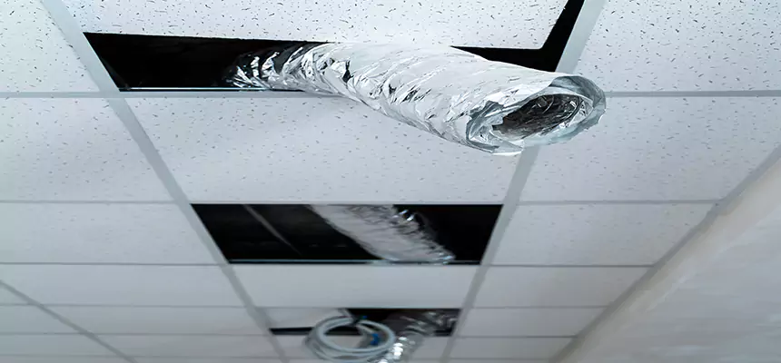 Affordable HVAC Sanitizing After Pest Removal in Sioux Falls