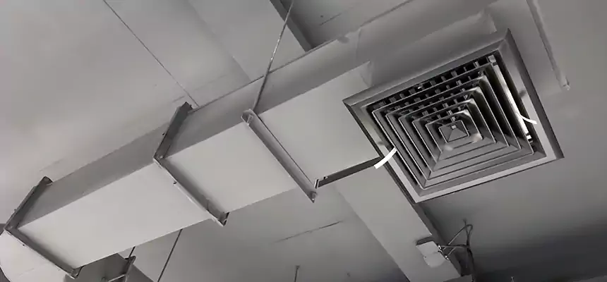 Our Pest Removal From Ducts Services in Sioux Falls, SD