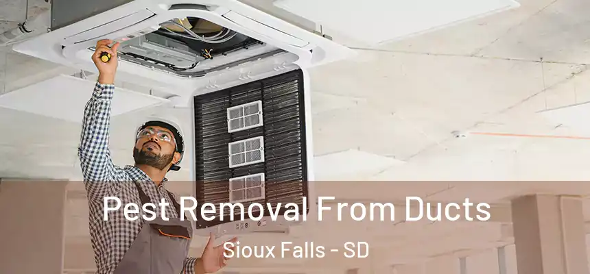  Pest Removal From Ducts Sioux Falls - SD