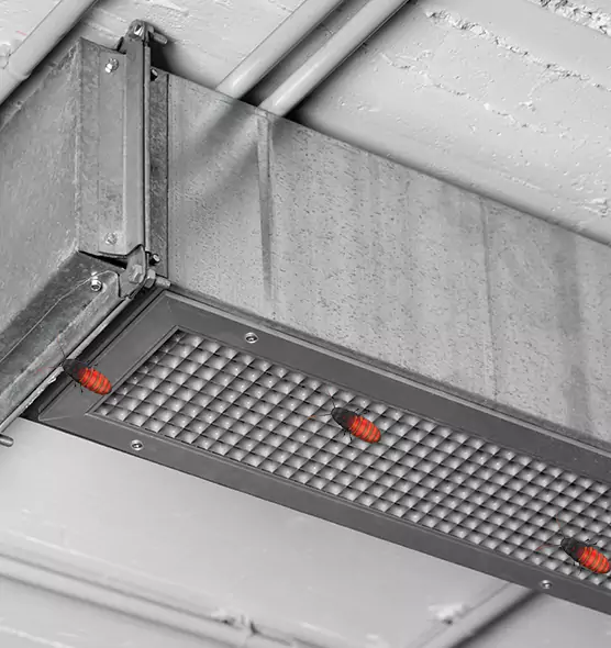 About Air Duct Cockroach Removal in Sioux Falls, SD